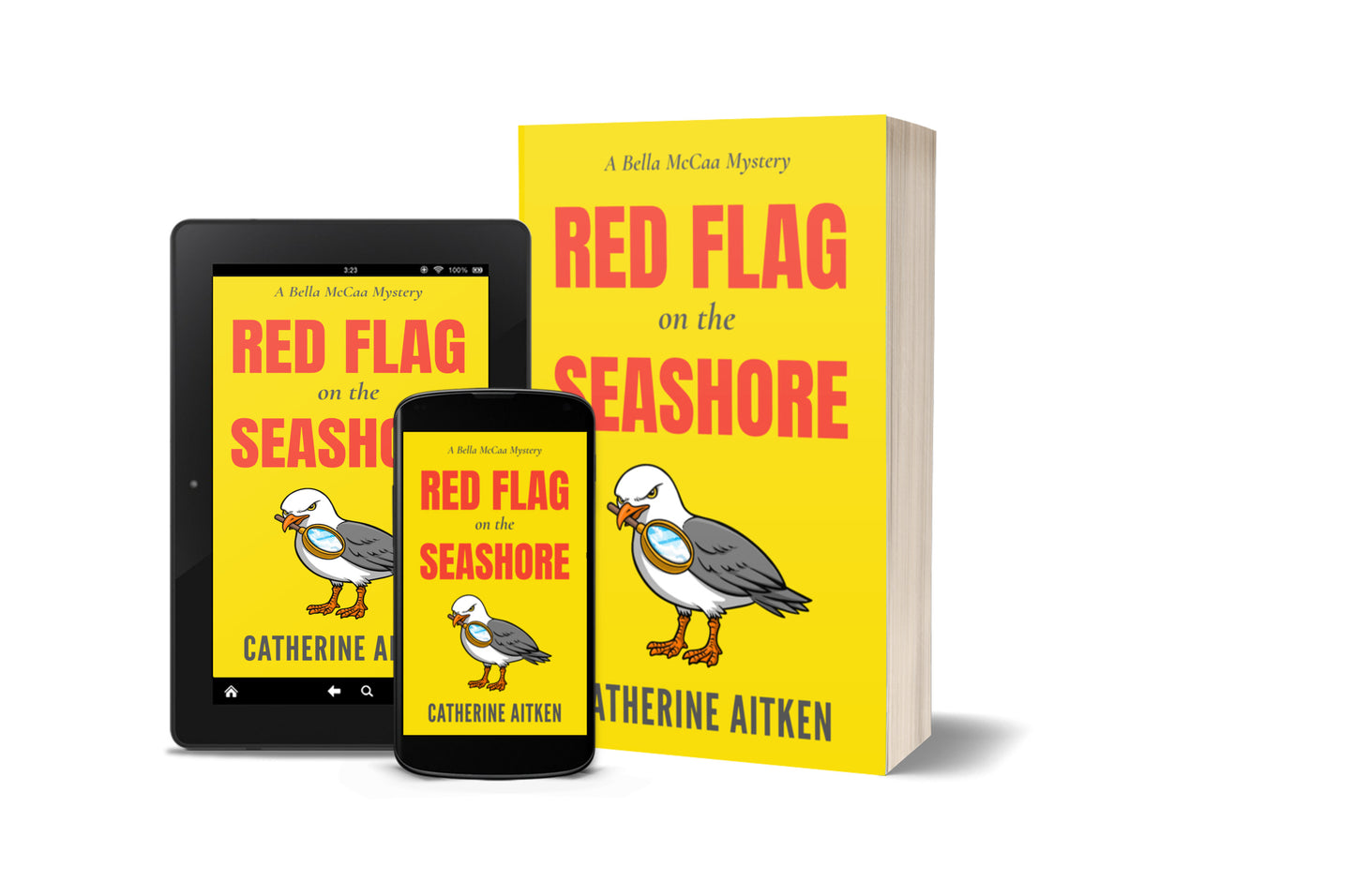 RED FLAG ON THE SEASHORE