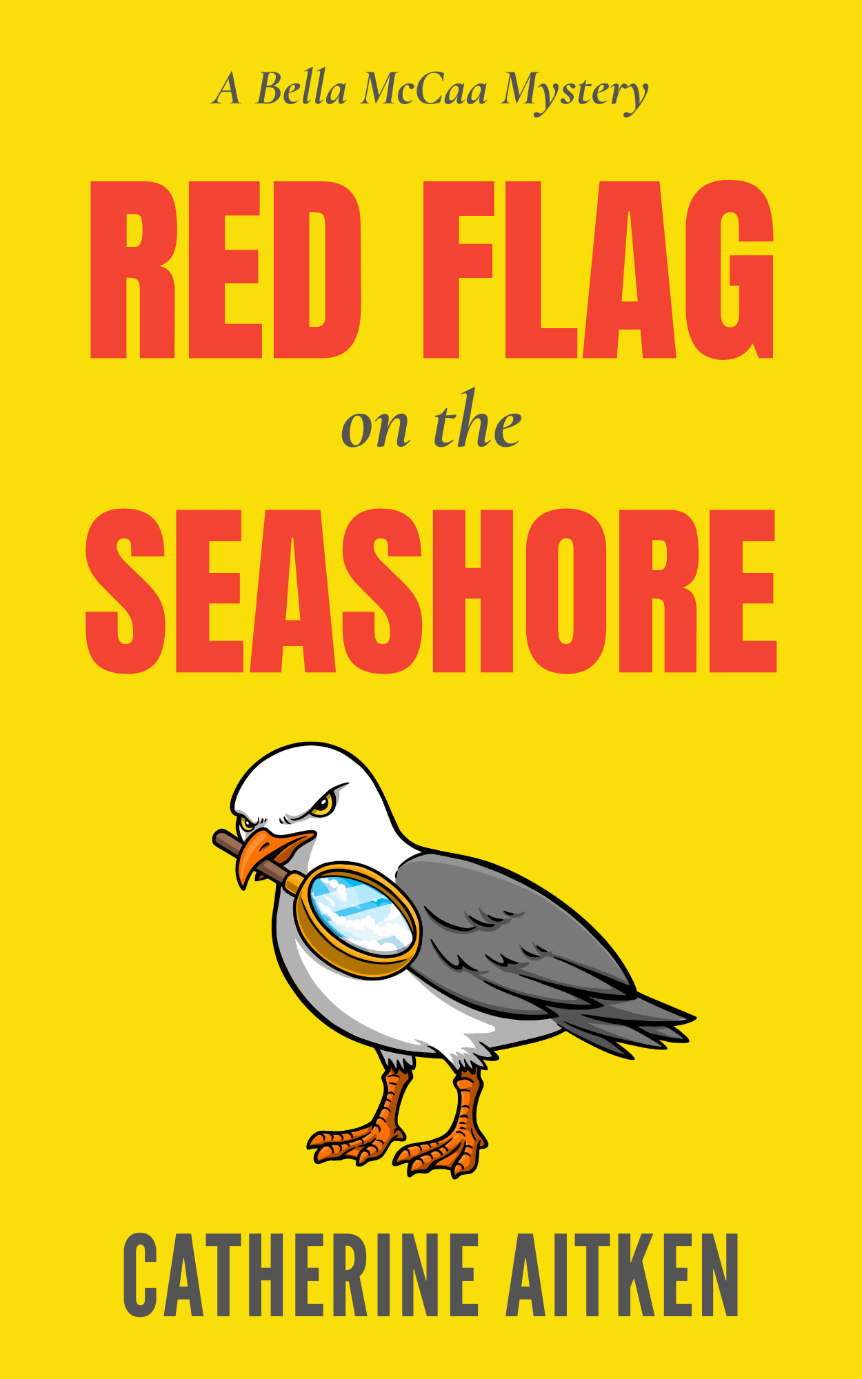 RED FLAG ON THE SEASHORE