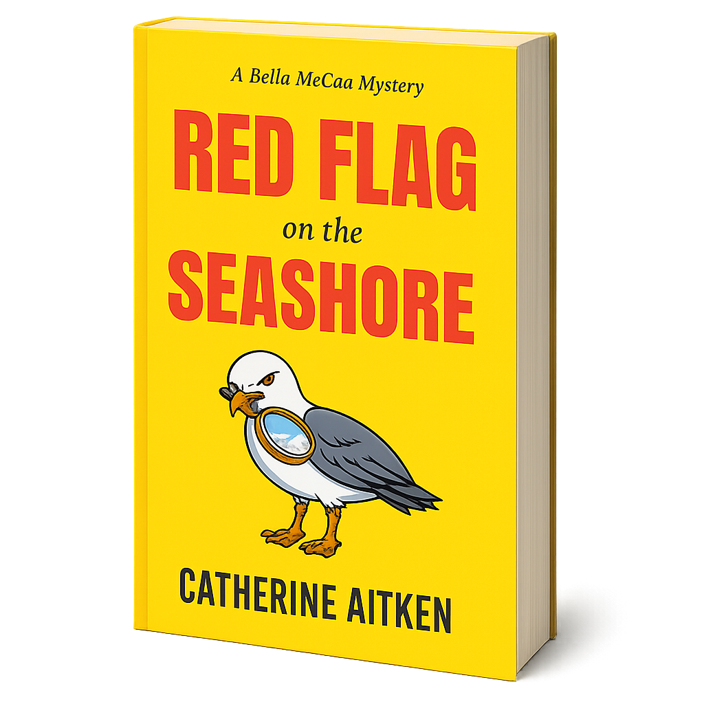 RED FLAG ON THE SEASHORE
